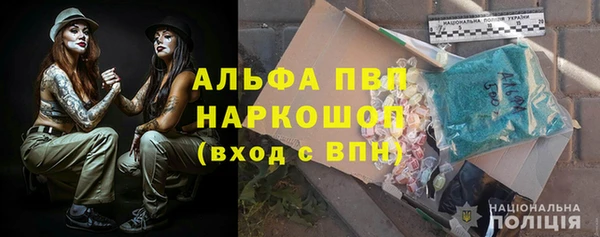 эйфоретик Баксан